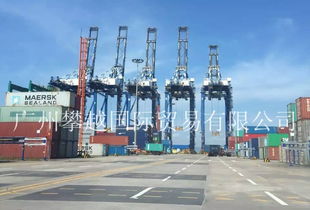 物流洗牌在即 黃埔海關破獲2億元快件走私大案，銷售代理鏈條浮出水面